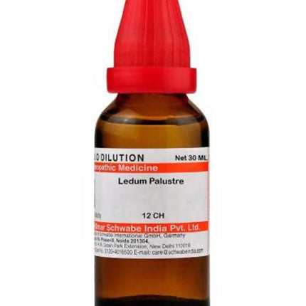 Dr. Willmar Schwabe India Ledum Palustre Dilution