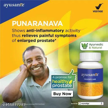 Vestige Ayusante Prostate Care (60N)