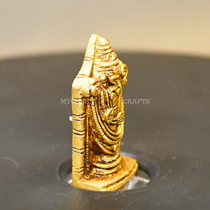 Brass Balaji Venkatramana Idol