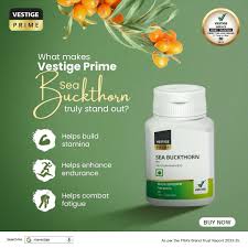 Vestige Prime Sea Buckthorn (60N)