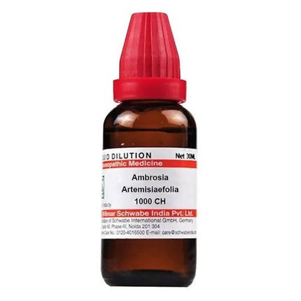 Dr. Willmar Schwabe India Ambrosia Artemisiaefolia Dilution