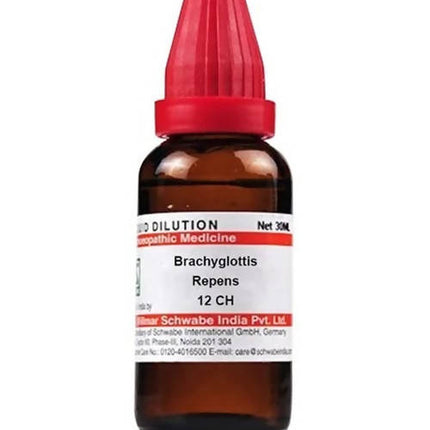 Dr. Willmar Schwabe India Brachyglottis Repens Dilution
