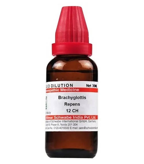 Dr. Willmar Schwabe India Brachyglottis Repens Dilution