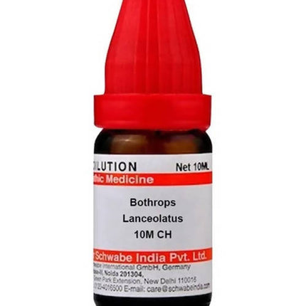 Dr. Willmar Schwabe India Bothrops Lanceolatus Dilution