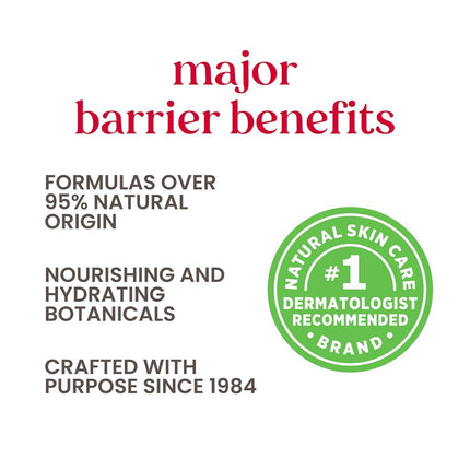 Burt's Bees Natural Moisturizing Lip Balms (Original Beeswax, Strawberry, Coconut & Pear, Vanilla Bean)