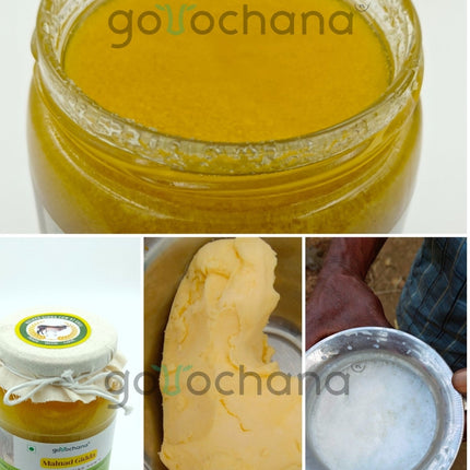 Gorochana 100% Source Traceable Desi Malnad Gidda A2 Full Moon Day Bilona Cow Ghee | Pure Ghee | Organic Ghee - Limited Time Offer