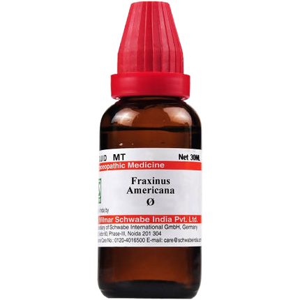 Dr. Willmar Schwabe India Fraxinus Americana Mother Tincture