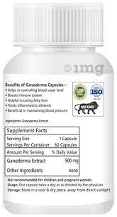 Vestige Ganoderma (90N)