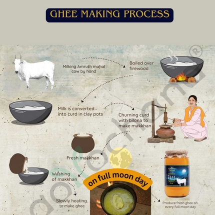 Tatsat Full Moon Day Ghee From Forest Gazing Amruth Mahal A2 Cows | Pure A2 Ghee, Natural & Healthy, Non-GMO