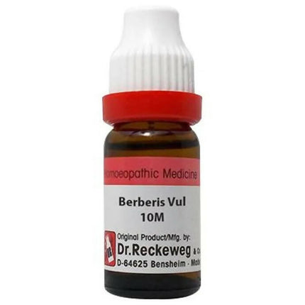 Dr. Reckeweg Berberis Vul Dilution