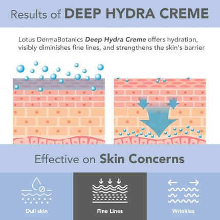 Lotus DermaBotanics Deep Hydra Crème
