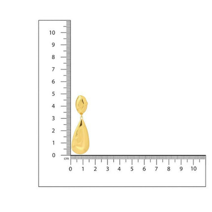 Golden Drop Earrings - Ruby Raang