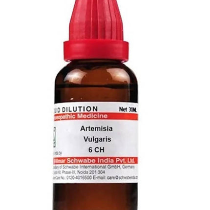 Dr. Willmar Schwabe India Artemisia Vulgaris Dilution