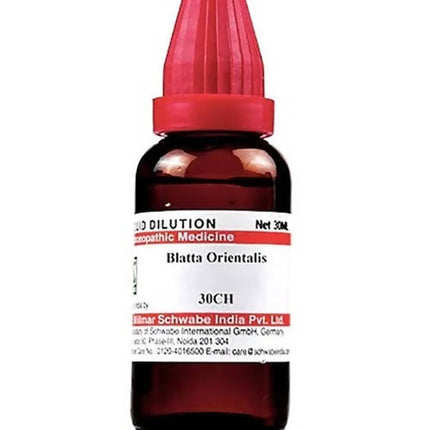 Dr. Willmar Schwabe India Blatta Orientalis Dilution