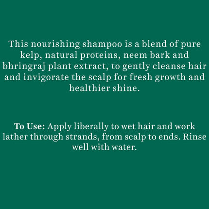 Biotique Bio Kelp Protein Shampoo For Falling Hair