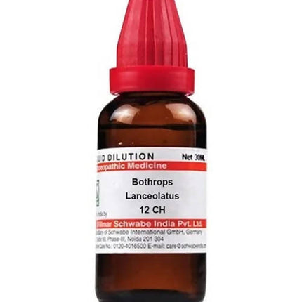 Dr. Willmar Schwabe India Bothrops Lanceolatus Dilution