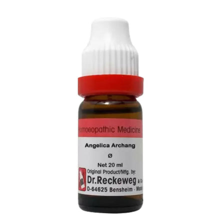 Dr. Reckeweg Angelica Archang Mother Tincture Q
