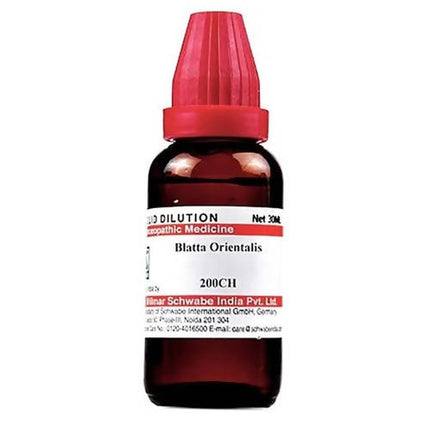 Dr. Willmar Schwabe India Blatta Orientalis Dilution