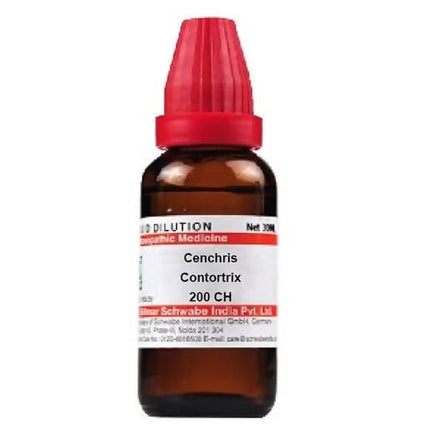 Dr. Willmar Schwabe India Cenchris Contortrix Dilution