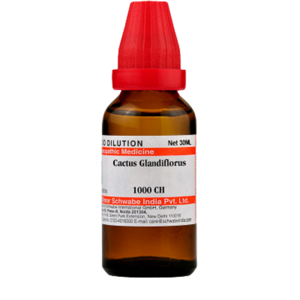 Dr. Willmar Schwabe India Cactus Glandiflorus Dilution