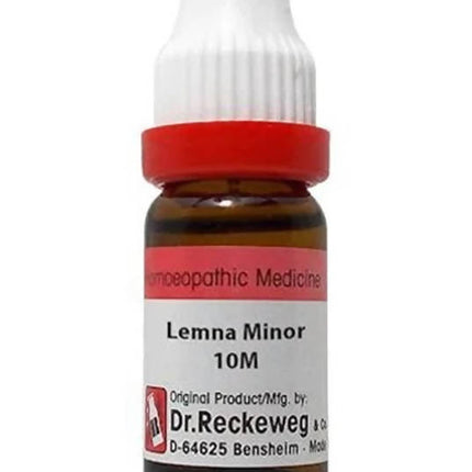 Dr. Reckeweg Lemna Minor Dilution
