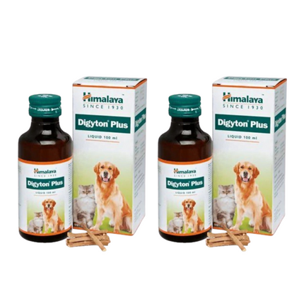 Himalaya Digyton Plus liquid