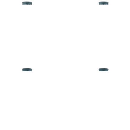 Himalaya Liv.52 Syrup