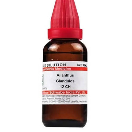 Dr. Willmar Schwabe India Ailanthus Glandulos Dilution