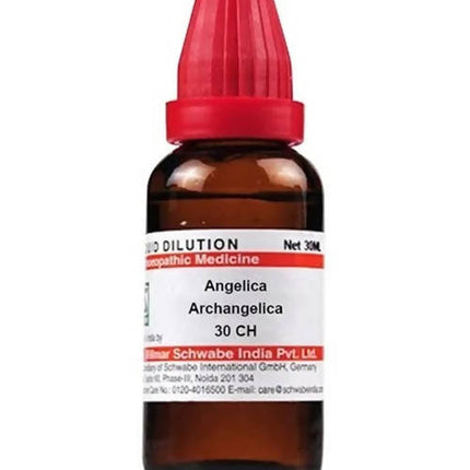 Dr. Willmar Schwabe India Angelica Archangelica Dilution