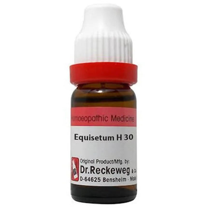 Dr. Reckeweg Equisetum H Dilution