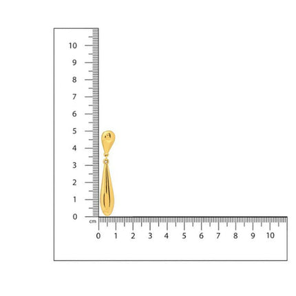 Golden Drop Earrings - Ruby Raang