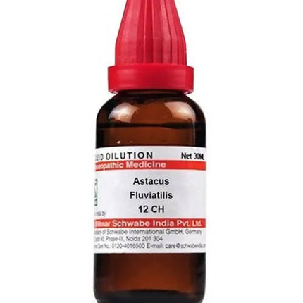 Dr. Willmar Schwabe India Astacus Fluviatilis Dilution