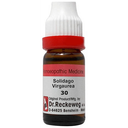Dr. Reckeweg Solidago Virgaurea Dilution