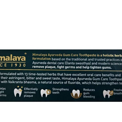 Himalaya Ayurveda Gum Care Toothpaste