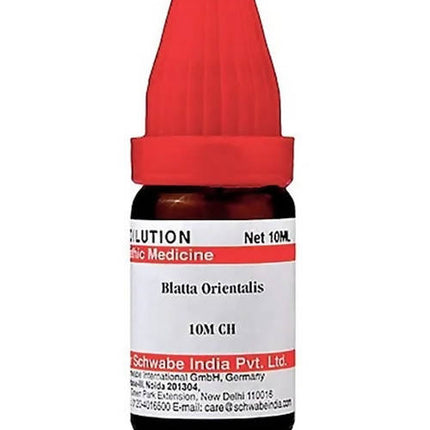Dr. Willmar Schwabe India Blatta Orientalis Dilution