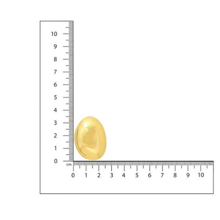 Golden Drop Earrings - Ruby Raang