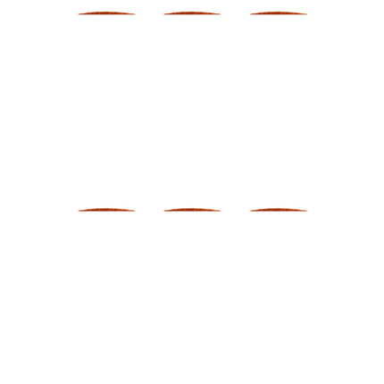 Patanjali Brhat Gangadhar Curna - 50 gm