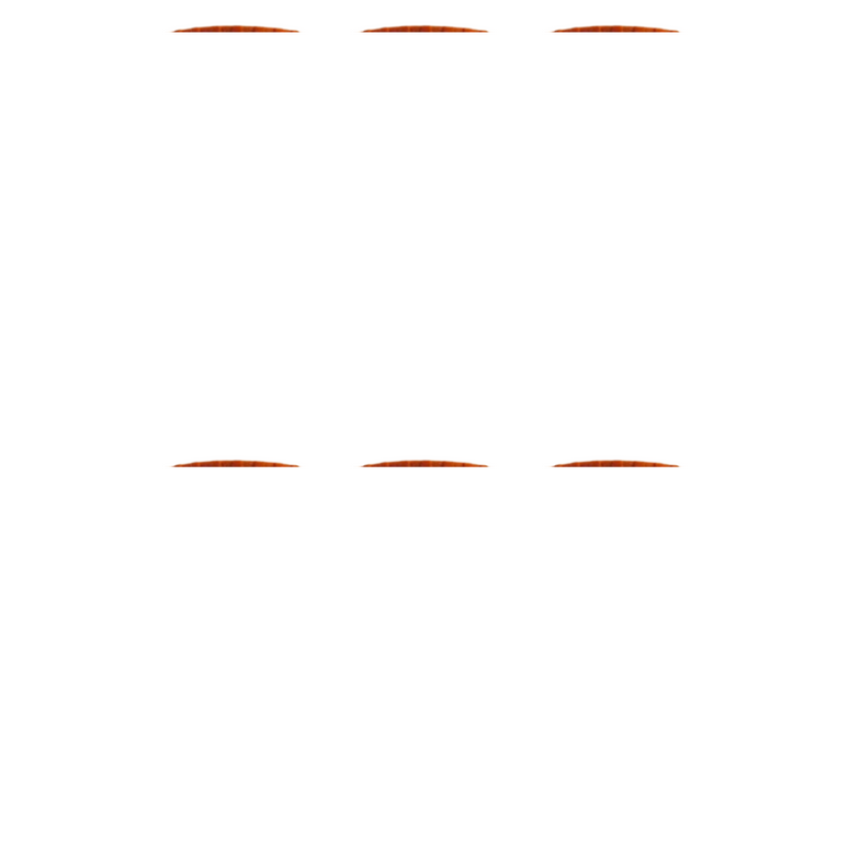 Patanjali Brhat Gangadhar Curna - 50 gm