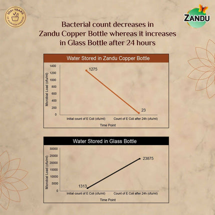 Zandu Copper Water Bottle