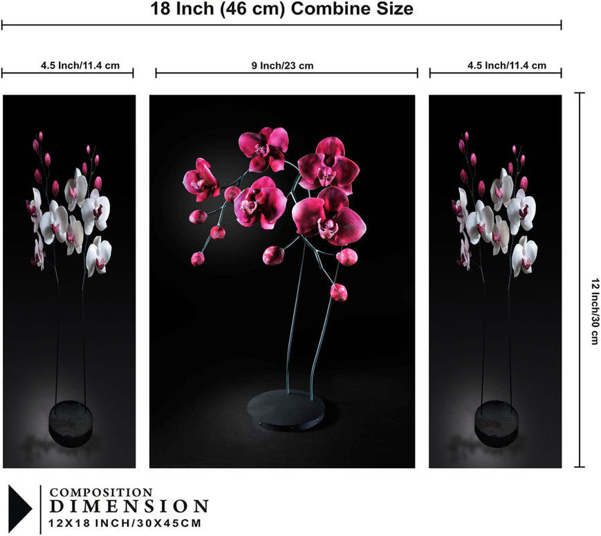 Tehzeeb Creations Set Of 3 Digital Wall Painting