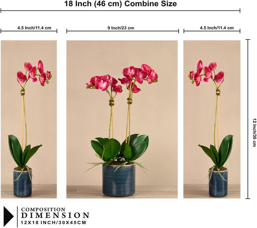 Tehzeeb Creations Set Of 3 Digital Wall Painting