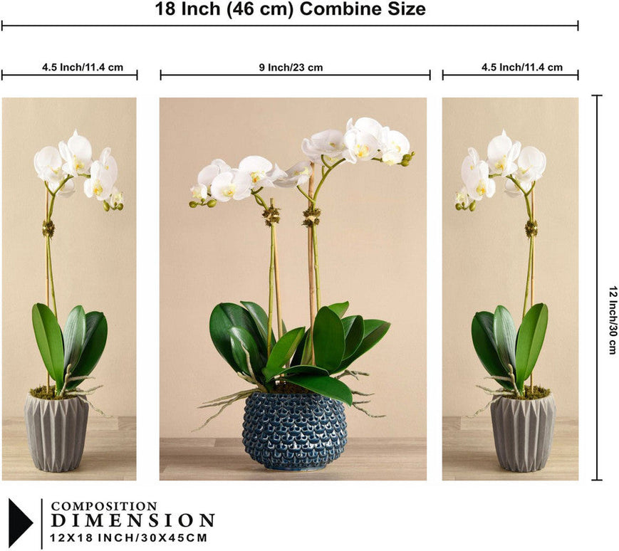 Tehzeeb Creations Set Of 3 Digital Wall Painting