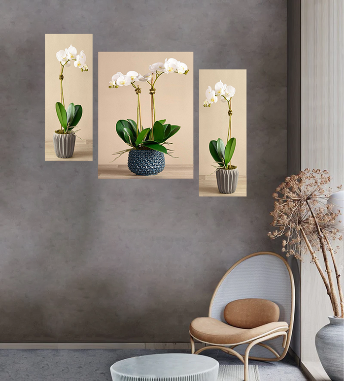 Tehzeeb Creations Set Of 3 Digital Wall Painting