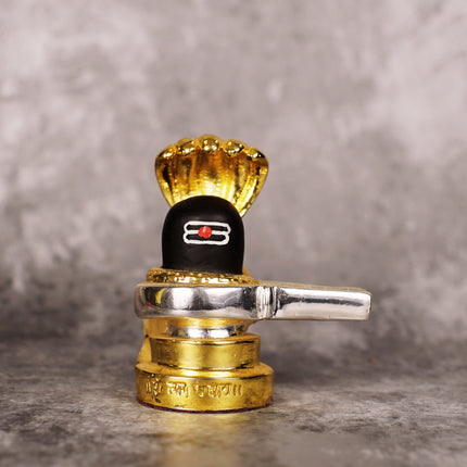 Sri Rudra Shiva Lingam (SR 00234)