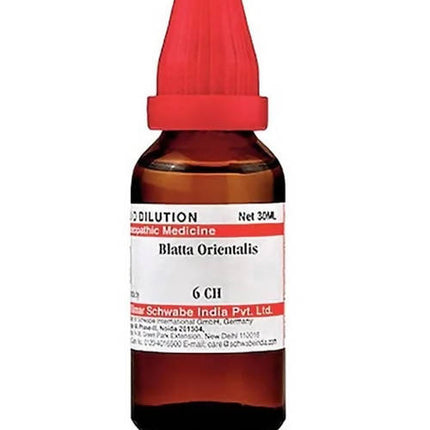 Dr. Willmar Schwabe India Blatta Orientalis Dilution