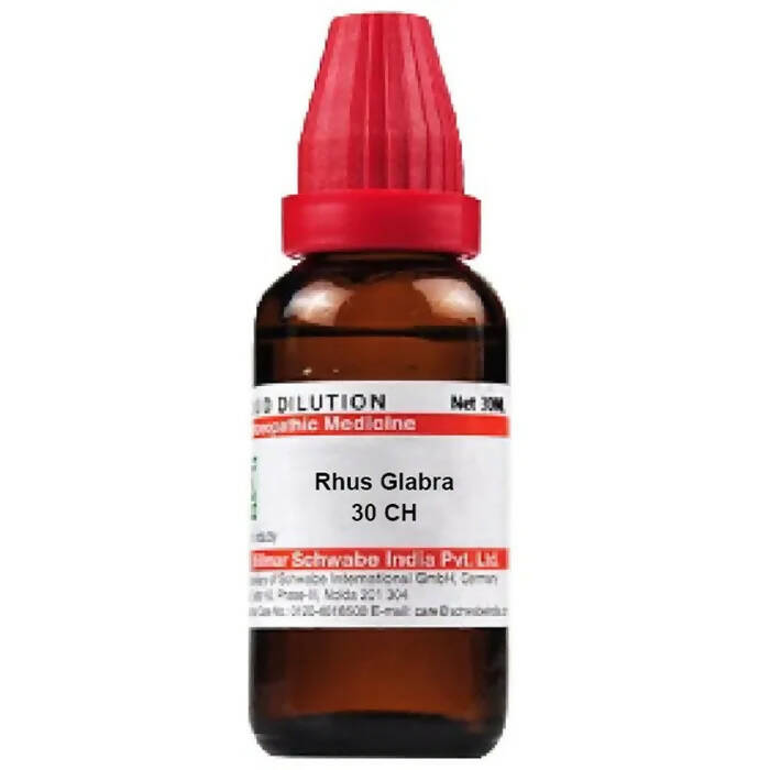 Dr. Willmar Schwabe India Rhus Glabra Dilution