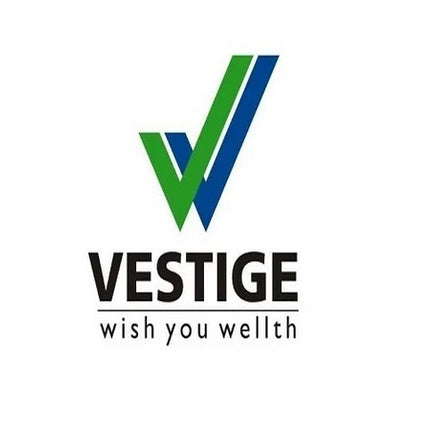 Vestige Detox Foot Patch (10 PATCHES)