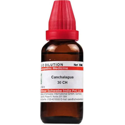Dr. Willmar Schwabe India Canchalagua Dilution