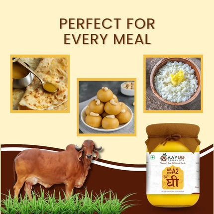 Aayug Organics A2 Gir Cow Ghee | Traditional Bilona Method A2 Cow Ghee | Grassfed, Pure and Healthy Gir Cow Ghee