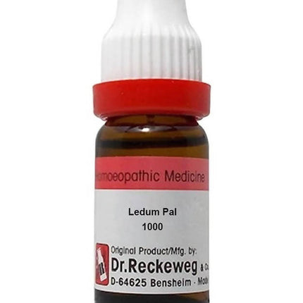 Dr. Reckeweg Ledum Pal Dilution